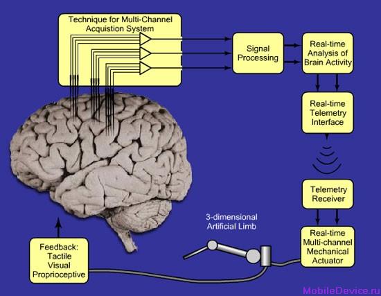 Мозг машины. Мозго-машинные интерфейсы мозг. Интерфейс мозг машина. Мозго-машинные интерфейсы рука. Моторные команды мозга это.